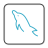 MySQL MySQL
